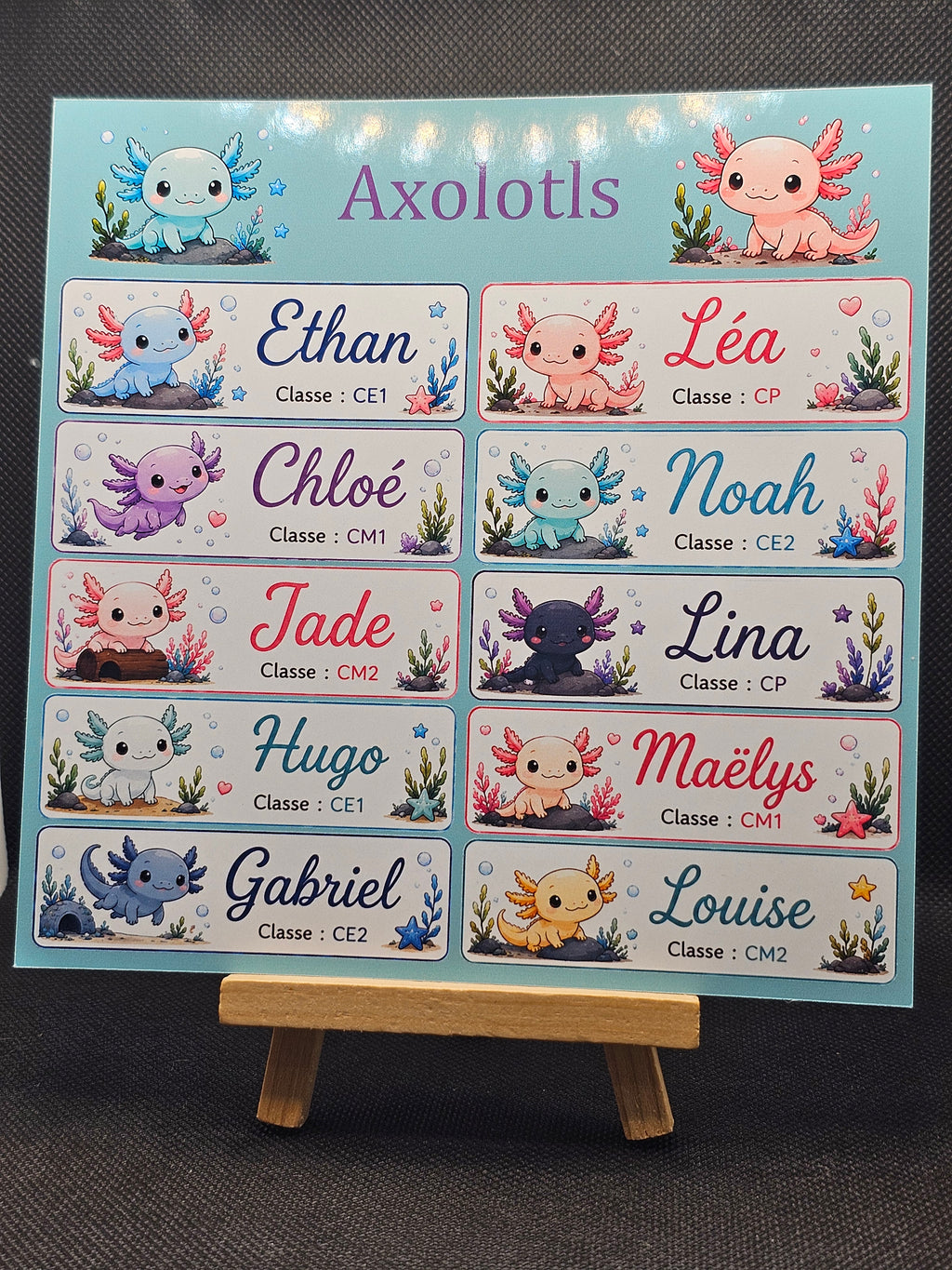 Étiquettes scolaire personnalisées — Thème Axolotls —